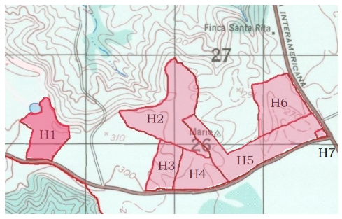h1 h1
